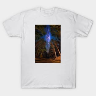 View from the Forest T-Shirt